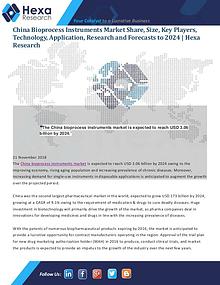 Market Analysis Report