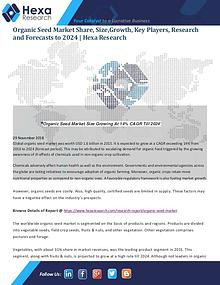 Market Analysis Report