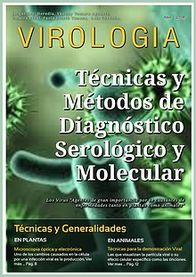 DIAGNOSTICO DE ENFERMEDADES CAUSADAS POR VIRUS