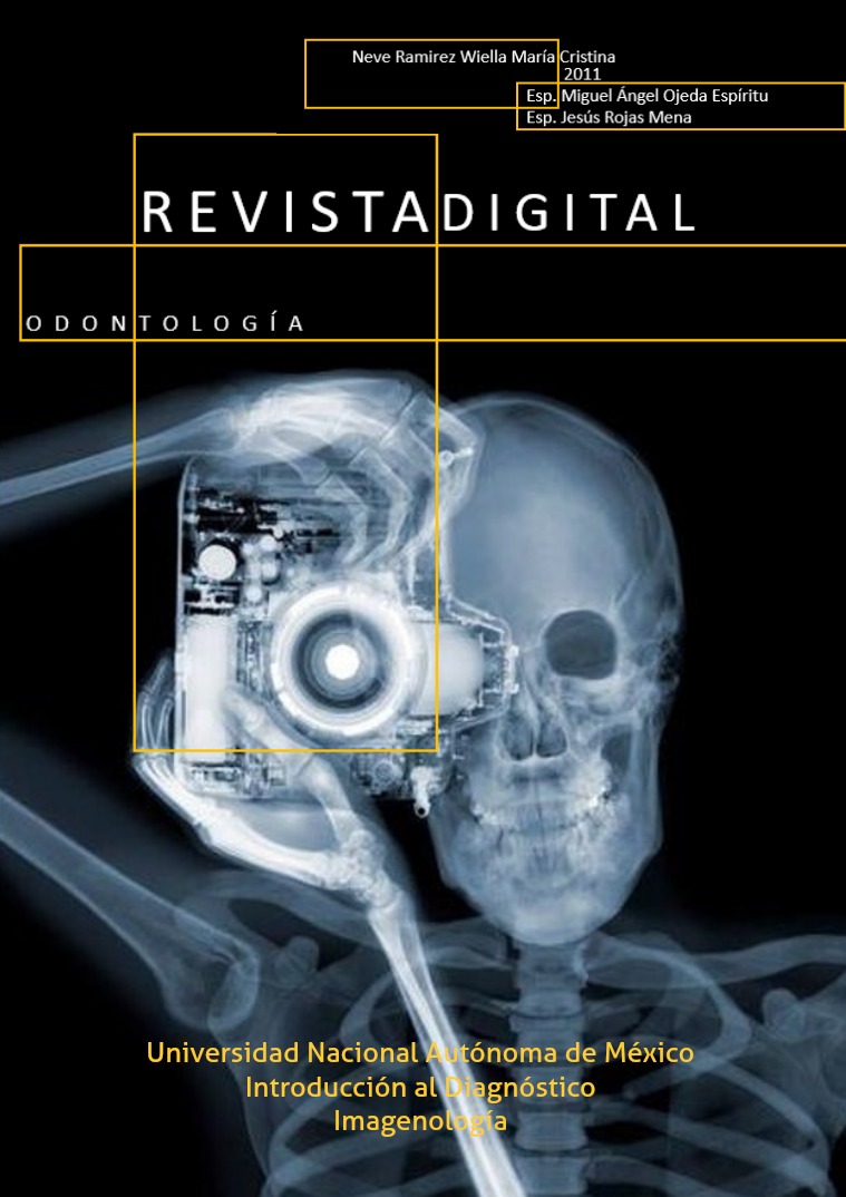 Revista Digital Revista Digital, Imagenología