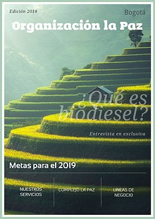 Mi primera revista