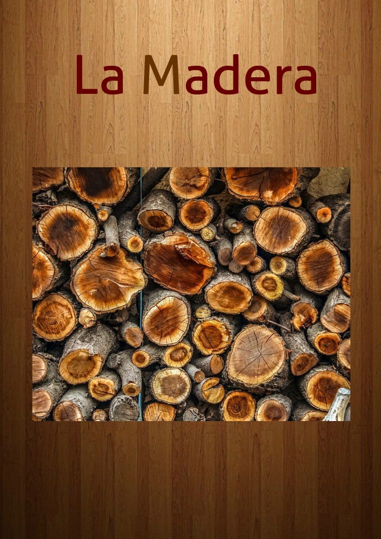LA MADERA Y SUS INNOVACIONES