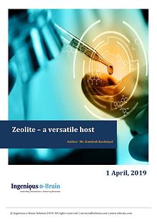 Understanding Zeolite Framework: Ingenious e-Brain Solution