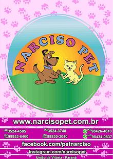 Catalogo Narciso PEt