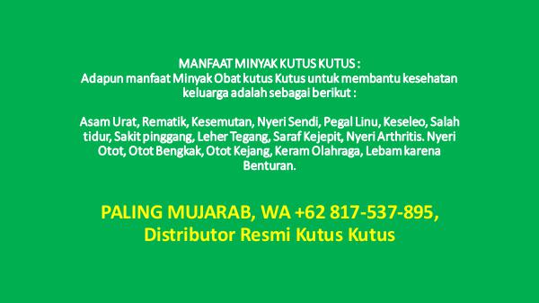 PALING MUJARAB, WA +62 817-537-895, Grosir Resmi Kutus Kutus PALING MUJARAB, WA +62 817-537-895, Grosir Resmi K