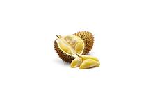 PROMO!!!, WA +62 822-2605-3504, Jual Bibit Durian Bawor Di Jakarta