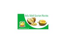 PROMO!!!, WA +62 822-2605-3504, Jual Bibit Durian Bawor Di Jakarta