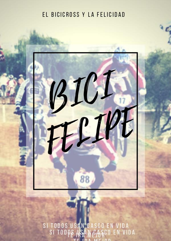 BiciFelipe BICIFELIPE