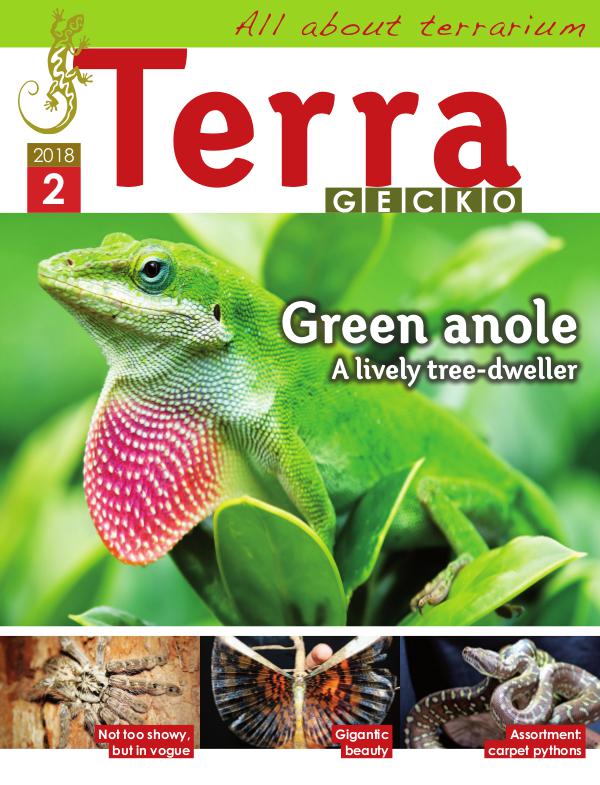 Terra Gecko Magazine : All about terrarium 2018/2