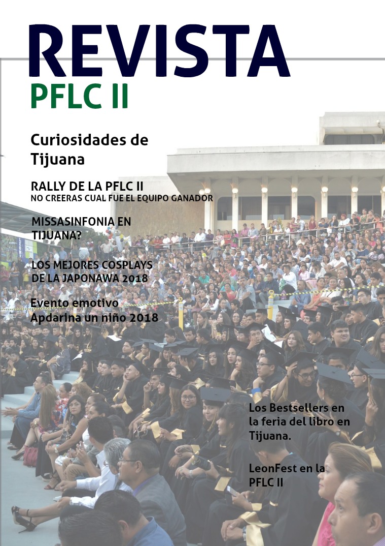 Mi primera revista I