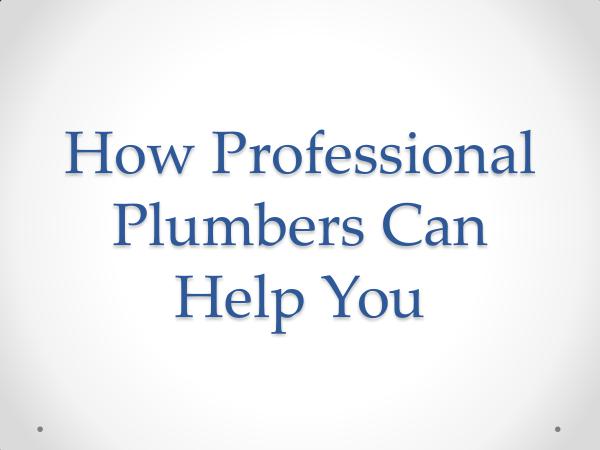 Fredericksburg Plumber How Professional Plumbers Can Help You