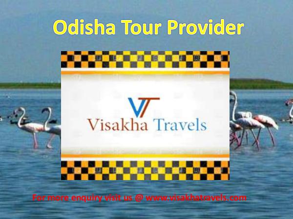 Tour and Travel in Odisha