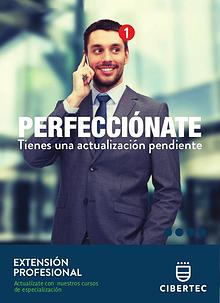 Extensión Profesional