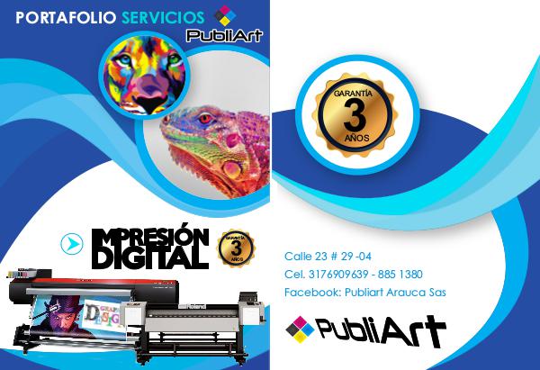 PubliArt Arauca Sas portafolio