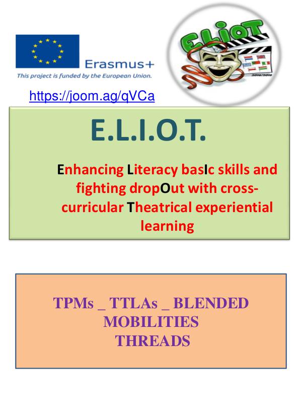 E.L.I.O.T._TPMs and TTLAs meetings Threads 5_TPMs_TTLAs_Blended Mobilities_THREADS