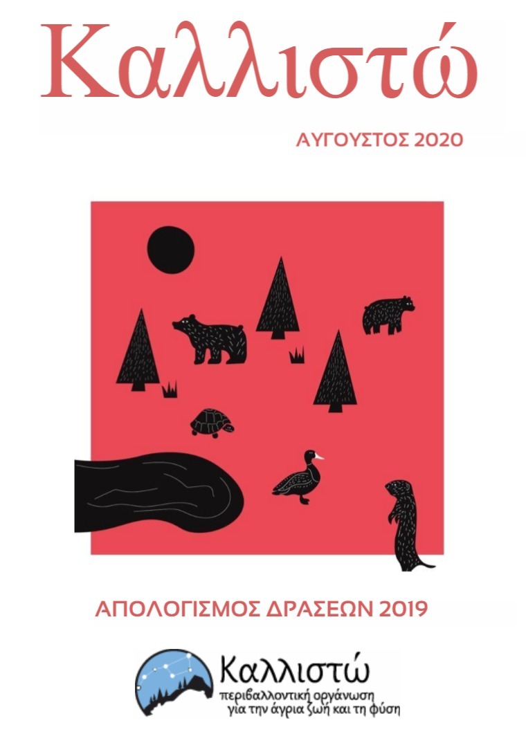 Καλλιστώ - Απολογισμός 2019 1