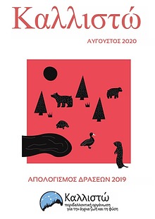 Καλλιστώ - Απολογισμός 2019