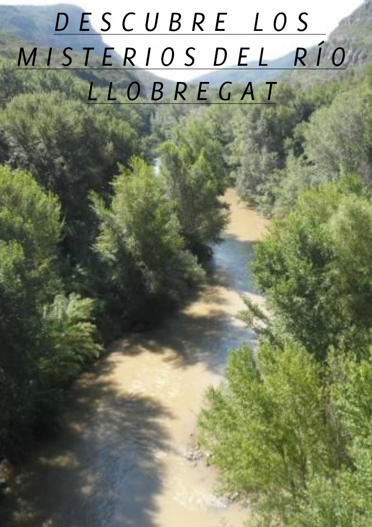 ñ,ñ asdfghjklñ´ç