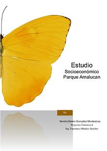 Estudio Socioeconómico Parque Amalucan