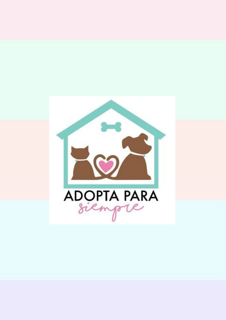 CAMPAÑA ADOPTA PARA SIEMPRE REVISTA