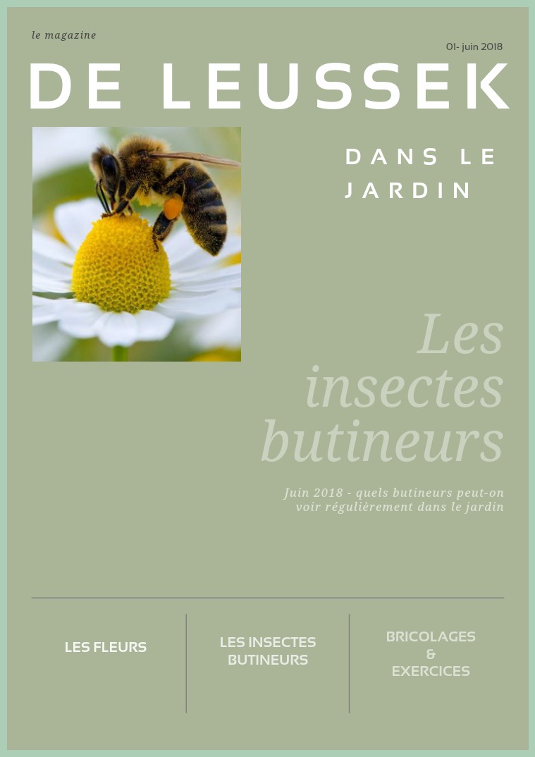 Les de Leussek Les butineurs du jardin