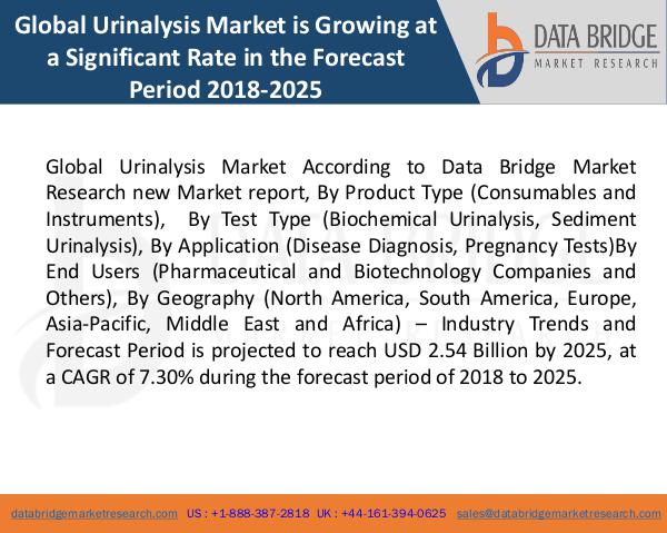 Global Urinalysis Market (blog)