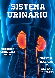 Sistema urinário 