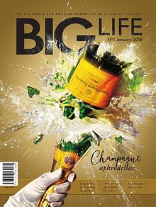 BIG LIFE Magazine