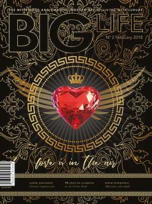 BIG LIFE Magazine