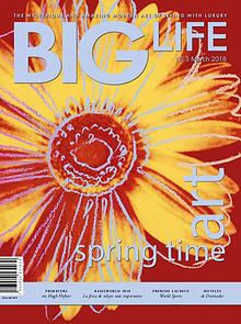 BIG LIFE Magazine