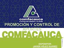 Promoción y control de aportes