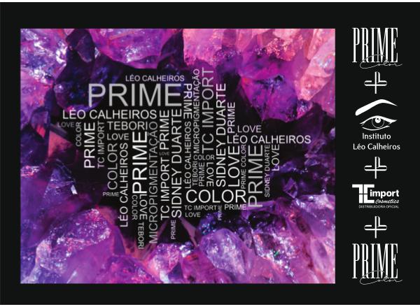 PRIME COLOR 2018