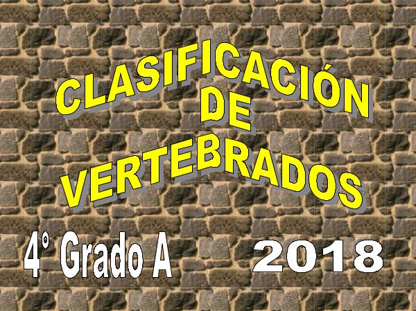 Clasificación de Vertebrados Vertebrados A