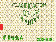 CLASIFICACIÓN DE PLANTAS