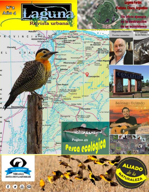 Mi primera revista Laguna, Revista urbana – N° 2–Año 4