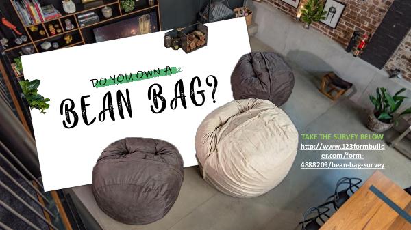 Do you own a bean bag? Do you own a bean bag