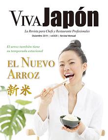 VIVA JAPÓN magazine