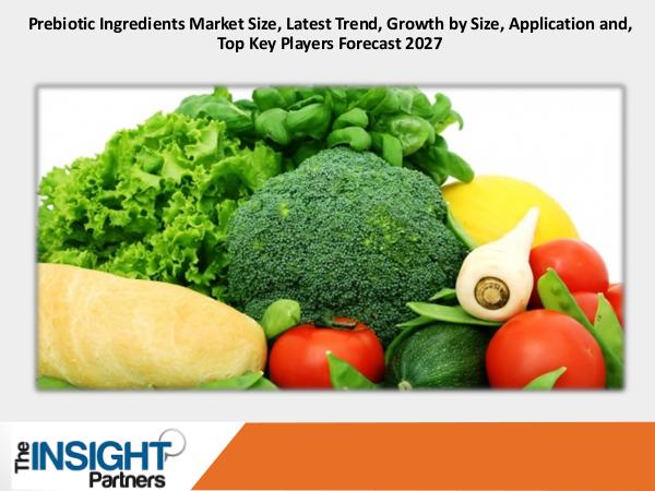 Prebiotic Ingredients Market