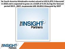 The Insight Partners