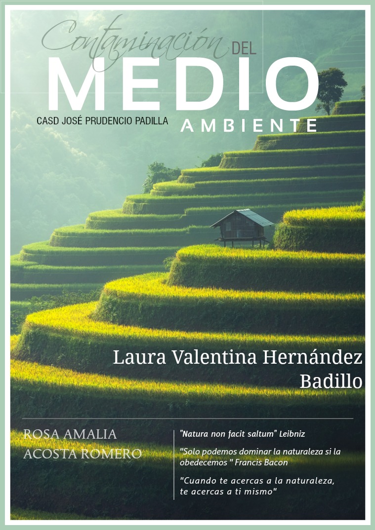 La Contaminación del Medio Ambiente 1