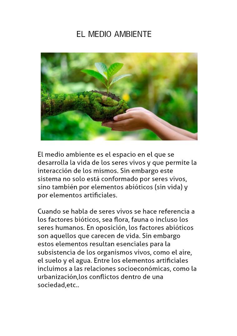 EL MEDIO AMBIENTE el medio ambiente