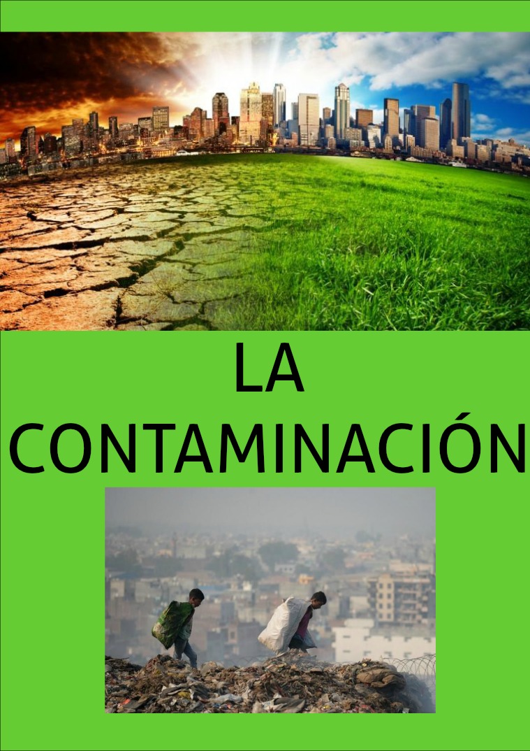 Enfermedades de Transmisión Sexual LA CONTAMINACIÓN