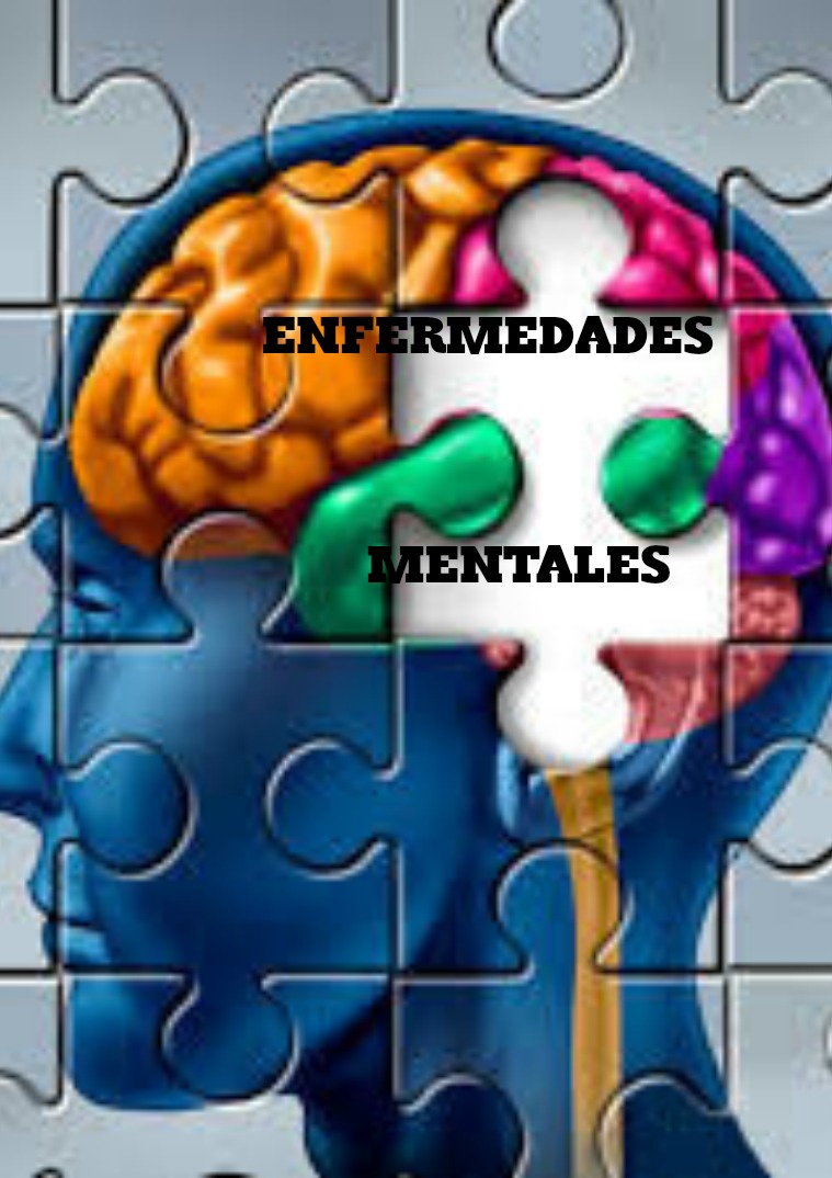 Enfermedades Mentales volumen 1