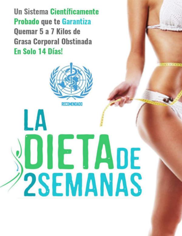 LA DIETA DE 2 SEMANAS BRIAN FLATT PDF LIBRO GRATIS