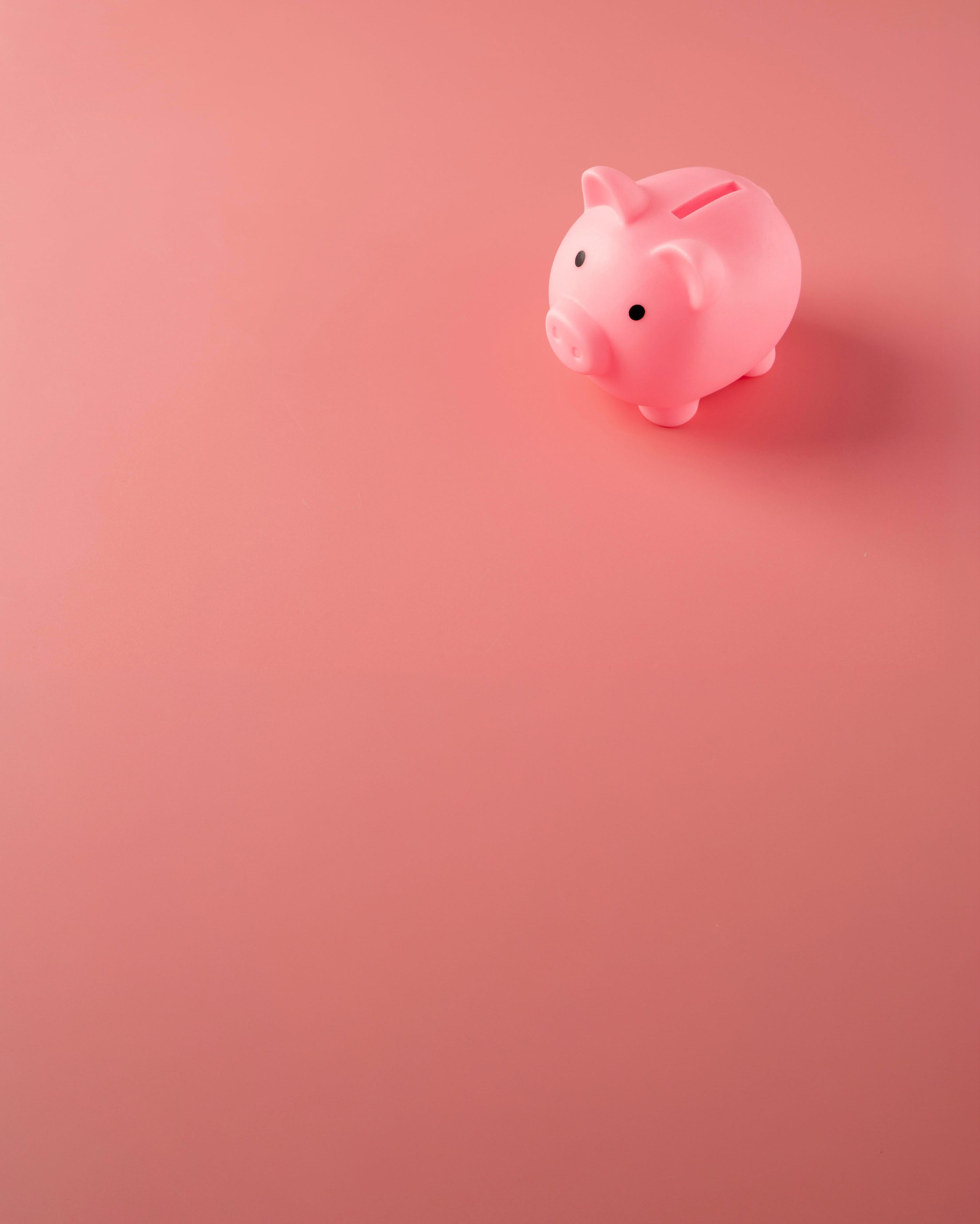 A pink piggy bank on a coral-pink background