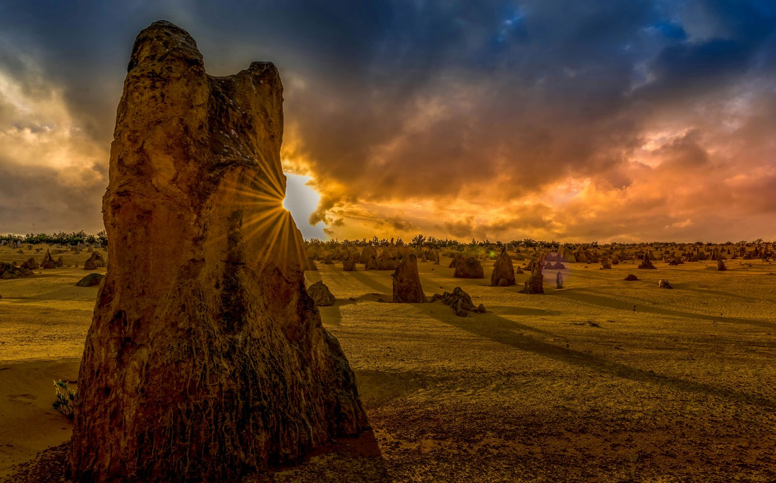 Limestone pillars of the Pinnacles Desert at sunset