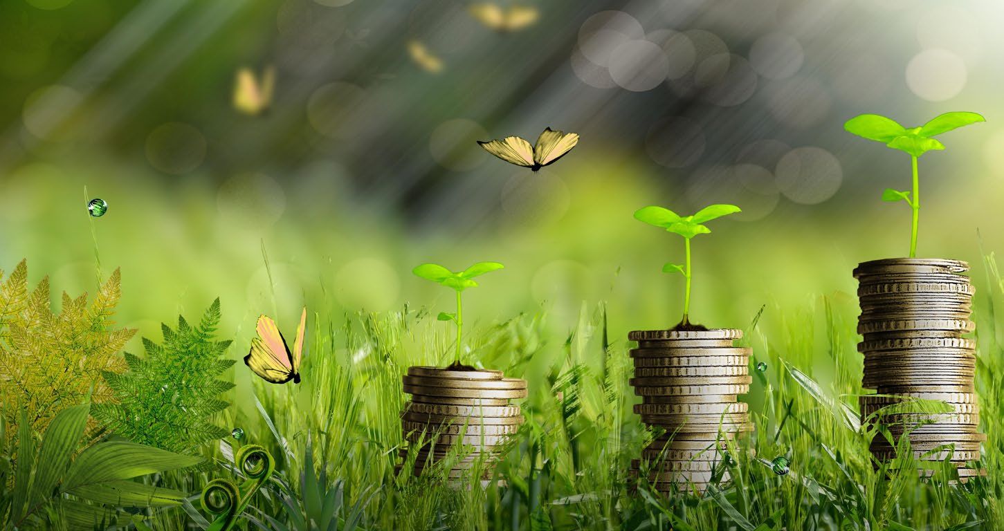 Plants growing out of stacks of coins representing sustainable investment growth