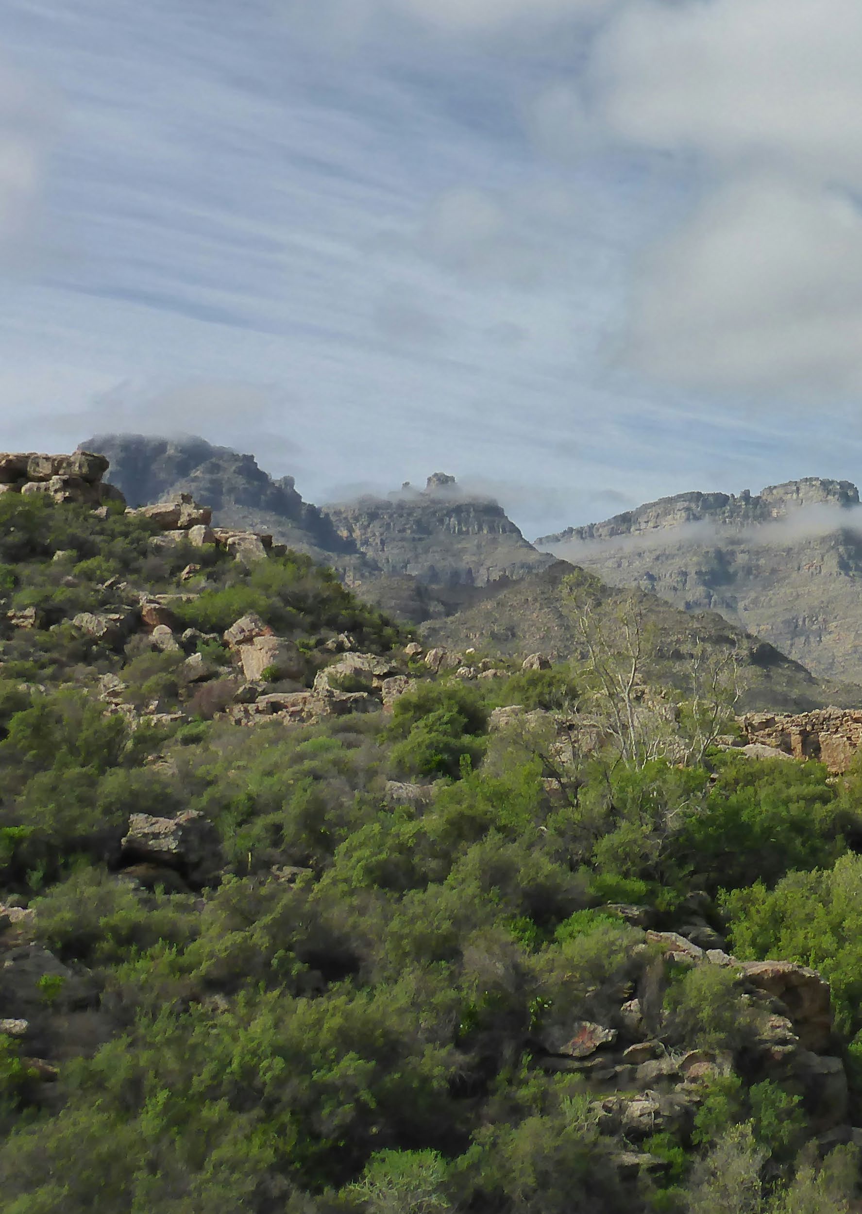 A wide panoramic view of the rugged Cederberg mountain landscape