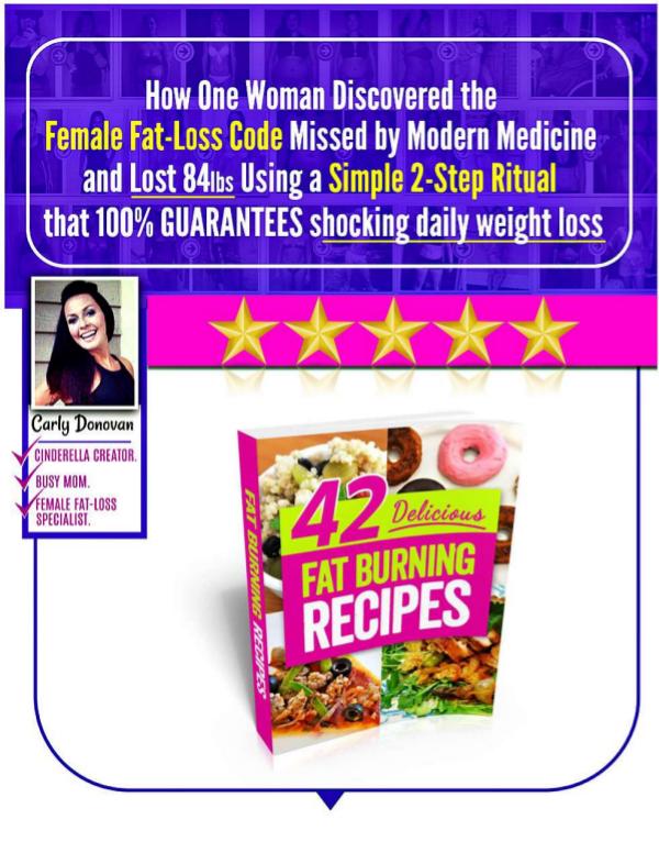 The Cinderella Solution System PDF Weight Loss Free Download Cinderella Solution Review