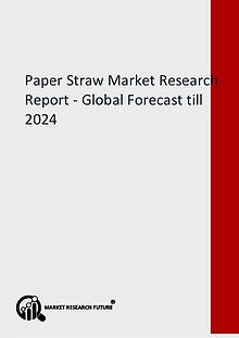 Paper Straw Market